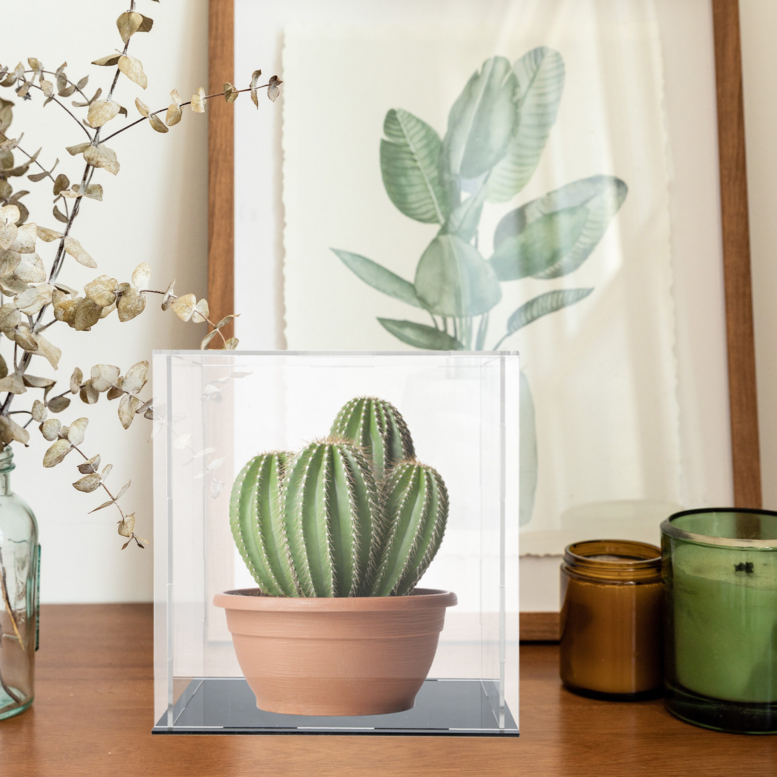 耐久性に優れたアクリル製ディスプレイボックス。透明で傷がつき - Display Case Acrylic のレビューと価格