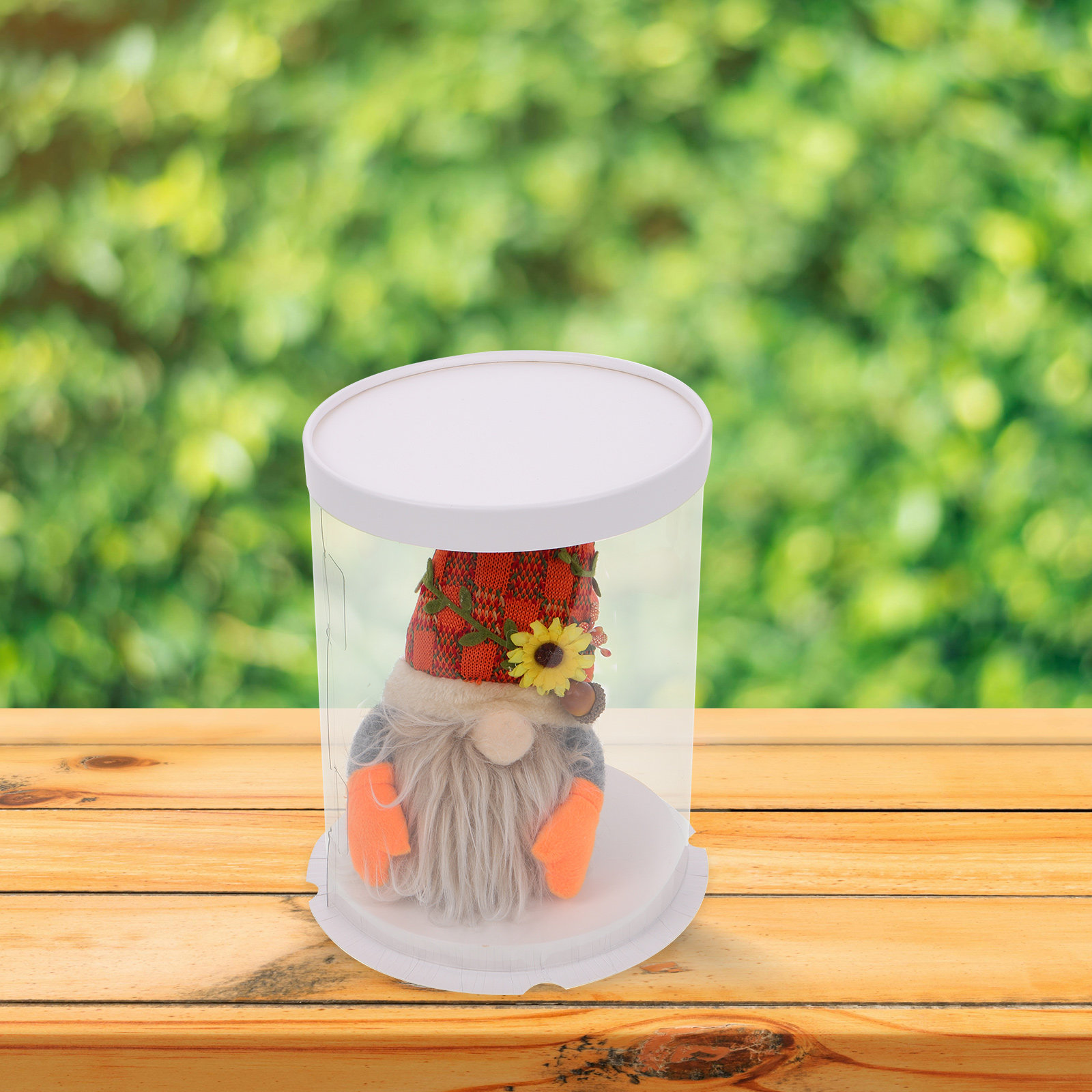 透明なディスプレイケース。ハロウィン、クリスマス、新年の飾り - Display Case Acrylic のレビューと価格